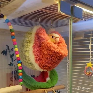 🔥鸚鵡專屬🔥 鸚鵡窩 鳥窩 鳥巢 鸚鵡保暖鳥窩 鸚鵡棉窩 小鳥保暖窩 鳥類冬季保暖窩 多鳥保暖窩鸚鵡秋韆吊床棉窩小太陽牡