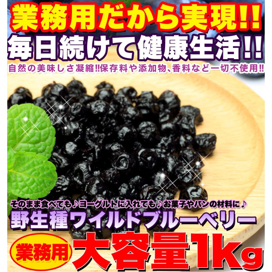 野生種★ワイルドブルーベリー大容量1ｋｇ≪常温≫