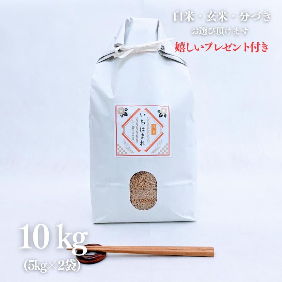 新米 お米 10kg 福井県産 いちほまれ 玄米 5kg×2袋 令和5年産 精米無料 白米 5分付き 7分づき 熨斗無料 グルメ ギフト 紙袋 嬉しいプレゼント付き 送料無料