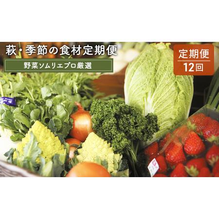 ふるさと納税 野菜セット 定期便 12ヶ月 萩・季節の食材 野菜ソムリエプロ厳選 野菜 果物 加工品 セット 詰め合わせ お楽しみ 山口県萩市