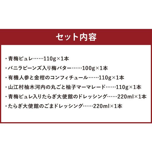 ふるさと納税 熊本県 人吉市 青梅ピュレ 梅バター コンフィチュール マーマレード ドレッシング 2本 計6点セット