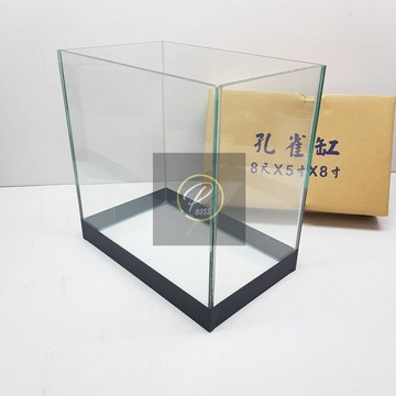 P老闆水族~孔雀缸 小魚缸 方型魚缸 台灣製魚缸 24×15x24公分