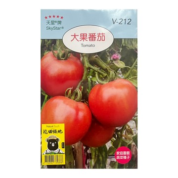 SkyStar 天星牌 大果番茄種子  1包