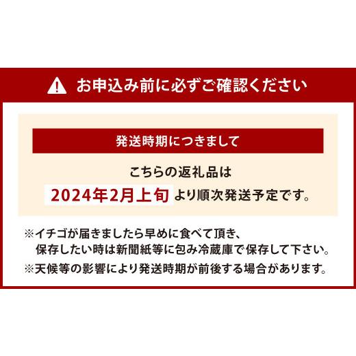 ふるさと納税 福岡県 北九州市  天姫 (あまひめ) イチゴ 200g×4パック