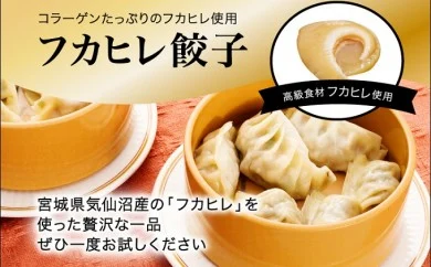 「宇都宮餃子館」フカヒレ餃子 640ｇ（32個）≪ギョーザ 冷凍餃子 冷凍食品 グルメ 食品 惣菜 中華惣菜 点心 中華≫