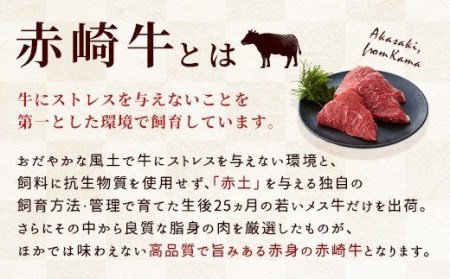 赤崎牛 赤身 ステーキ 約300g (150g×2枚 計300g) 牛肉 国産