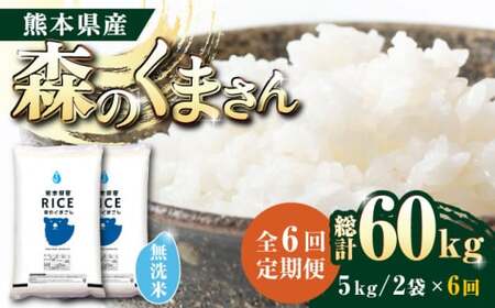 森のくまさん 無洗米 10kg（5kg×2袋）お米 コメ 熊本 特A 精米 ごはん 特産品 定期便 [ZBP060]