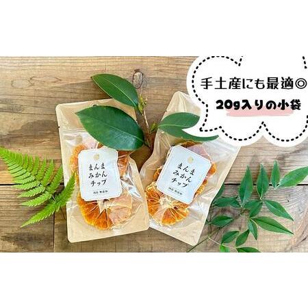 ふるさと納税 ドライフルーツ みかんチップ 400g 20g × 20袋 和歌山県産 果物使用 自社製造  和歌山県有田川町