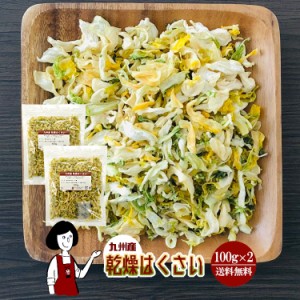 乾燥はくさい100g×2(計200g)〔チャック付〕／九州産 乾燥野菜 白菜 メール便 送料無料 チャック付 九州産 国産 ボイル済み ドライベジ