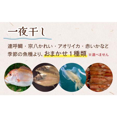 ふるさと納税 旬の干物5品セット 福井県高浜町