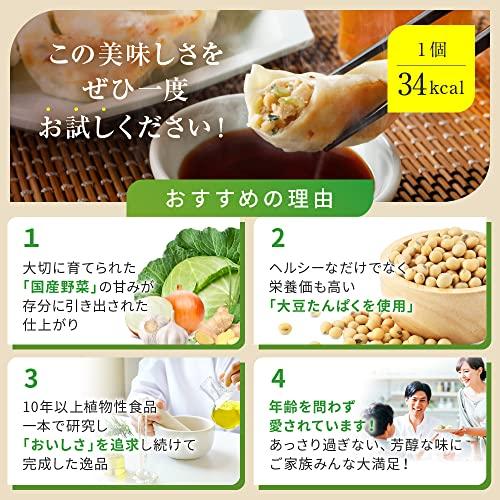 Green 餃子 業務用 (プレーン)ヘルシー 菜食 野菜餃子 国産野菜 業務用 プラントベース 大豆ミート 植物肉 ヴィーガン