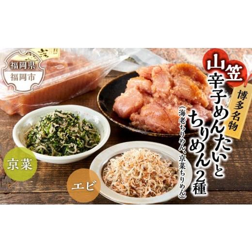 ふるさと納税 福岡県 福岡市 博多名物山笠めんたいとちりめん2種(海老ちりめん、京菜ちりめん）