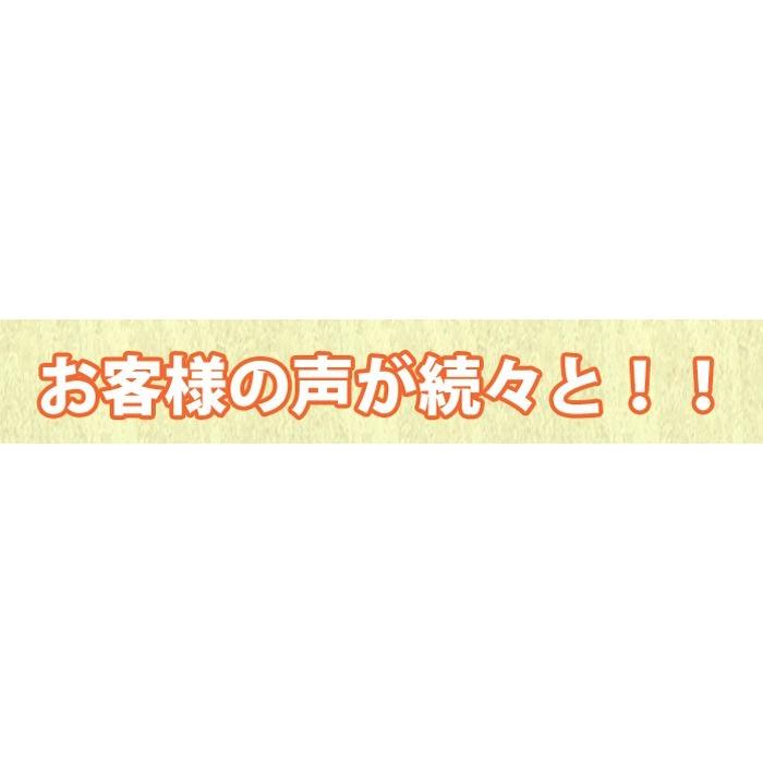 甘辛手羽っ唐揚げ 1パック5本 名古屋で有名な唐揚げ 調理済み 温めるだけの手羽先唐揚げ唐揚げ から揚げ レンジでチン