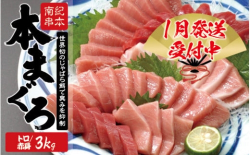 本マグロ トロ＆赤身セット 3kg（養殖）濃厚な赤身と高級部位トロの鮪好きにはたまらないセット  高級 クロマグロ