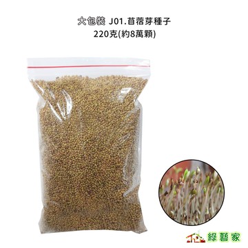 大包裝J01.苜蓿芽種子 多年生草本植物 似蘭葉草 耐乾旱 耐冷热 產量高而質優【綠藝家】
