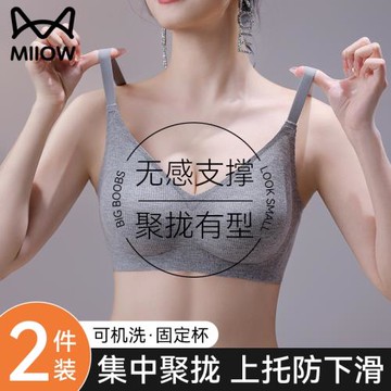 貓人內衣女聚攏小胸無痕軟支撐收副乳秋冬季2025新款爆款女士文胸