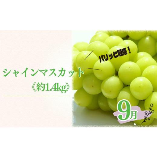 ふるさと納税 和歌山県 有田川町 定期便3回（8月・9月・10月） 有田川町の旬のフルーツをお届け！