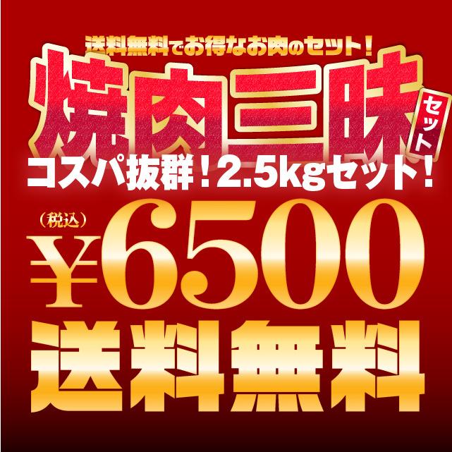 肉 焼肉 三昧セット 計2.5kg 肉福袋 bbq 冷凍 食品 牛ヒレひとくち500g キングカルビ500g 訳あり牛タン切落し500g 焼肉用豚バラ肉500g 牛ホルモン500g