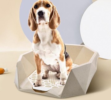 狗廁所大號大型犬自動泰迪狗狗用品尿盆便盆屎小型犬中型寵物