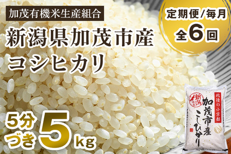 新潟県加茂市産 特別栽培米コシヒカリ 精米5kg 従来品種コシヒカリ 加茂有機米生産組合 定期便 定期購入 定期 コシヒカリ 新潟県産コシヒカリ 米 お米