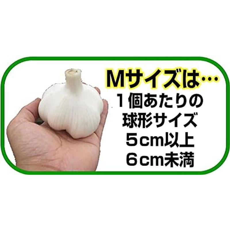 青森 にんにく 1kg B品 Mサイズ 国産 ニンニク 青森期待の新人商店