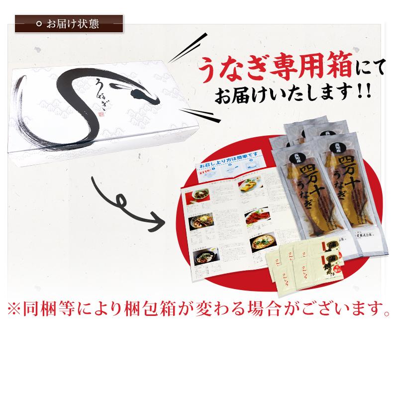 うなぎ 国産 最高級 四万十うなぎ 超特大サイズ 蒲焼き 長焼き 約200g×5尾 プレゼント お歳暮 2023 ギフト  お取り寄せ グルメ 鰻