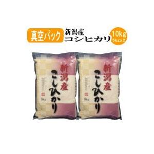 お米 白米 新潟産コシヒカリ（真空パック）10kg（5kgｘ2袋）（令和5産新米）