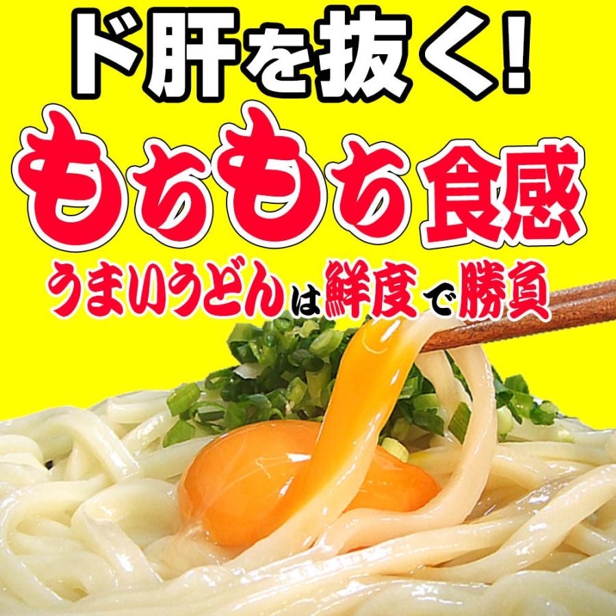 純生 讃岐 うどん ドーンと6食 便利な個包装 300g×2袋 600g 醤油 つゆ プレゼント 送料無料 最安値挑戦  得トクセール 特産品 訳あり 激旨