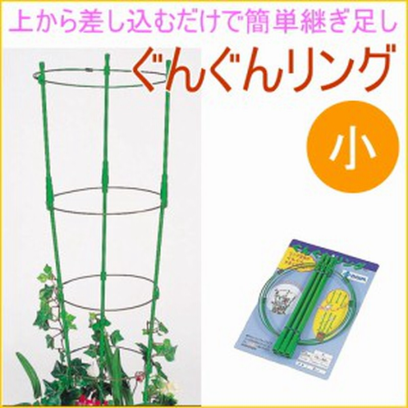 ぐんぐんリング 小 2セット入り 園芸 ガーデニング 家庭菜園 観葉植物 支柱 土 野菜 栽培 簡単 便利 鉢 竹 通販 LINEポイント最大1.0%GET LINEショッピング 渡辺泰 パワフル支柱 8号 75cm