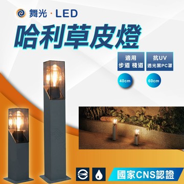 【舞光】哈利草皮燈 40 / 60CM 附燈絲燈泡 草坪燈 復古燈 柱頭燈 柱燈 庭院燈 內置防水驅動器