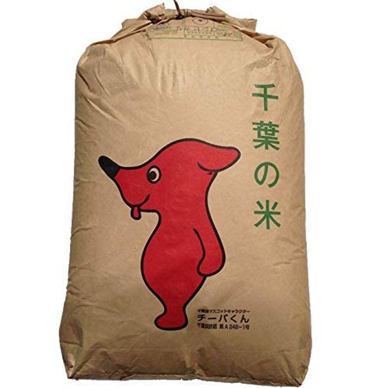 ミルキークイーン 令和4年産 玄米 選別済み 30kg 10kg×3 Brown rice