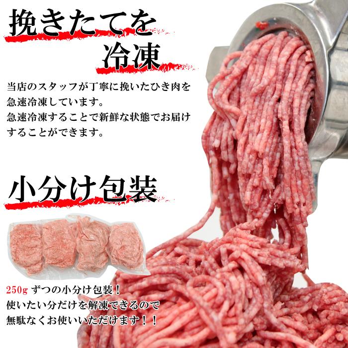 黒毛和牛 牛ミンチ 1kg（250g×４p）ひき肉 小分けパック ギフト 贈り物 プレゼント お歳暮 お中元