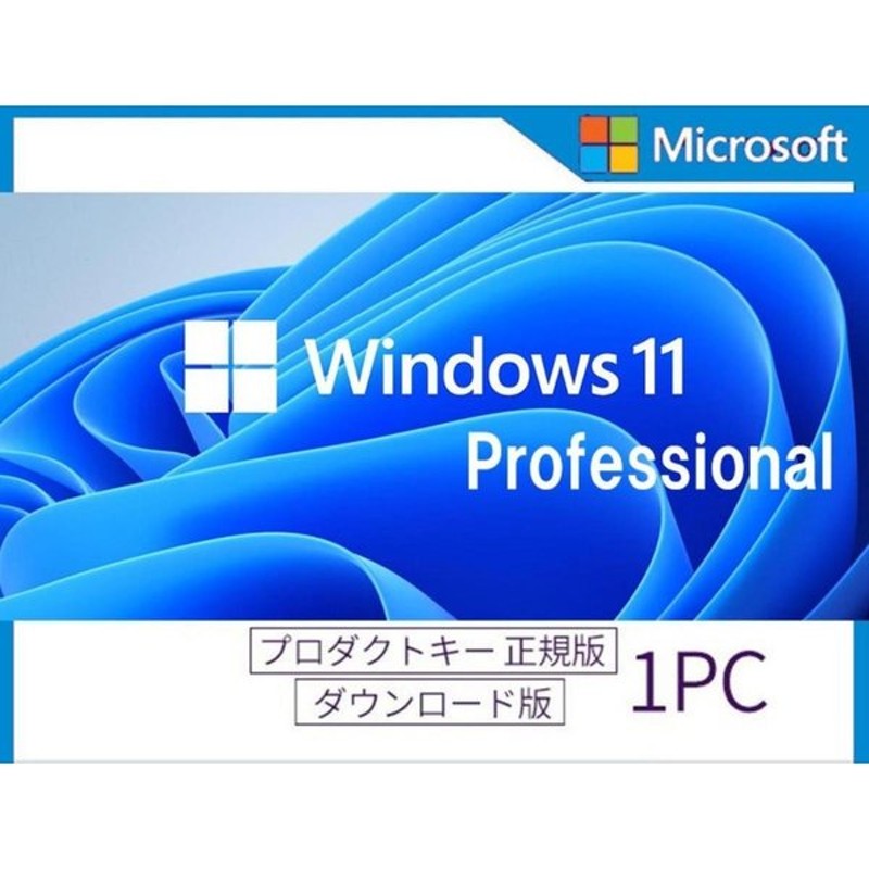 Windows 10 Pro 64bit 新規インストール手順書付きダウンロード版 OS 認証保証 32bit