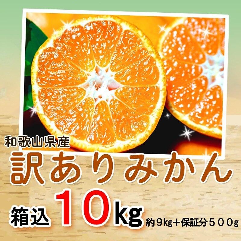 みかん 10kg（箱込約10kg） 和歌山県産 訳あり・ご家庭用 送料無料（東北・北海道・沖縄県除く）