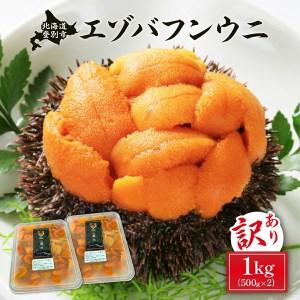 ふるさと納税 ≪規格外品1kg≫無添加エゾバフンウニ塩水パック1kg B 23年10月下旬〜11月下旬 北海道登別市