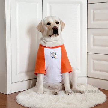 狗狗衣服大型犬薄款拉布拉多金毛夏季衣服網紅狗狗衣服防掉毛衣服