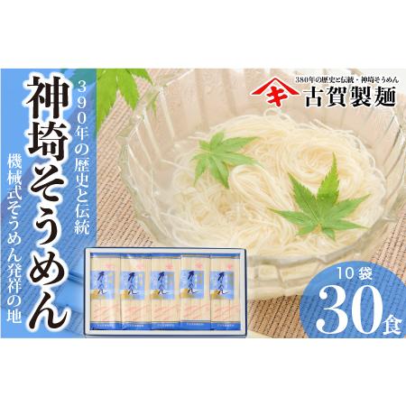 ふるさと納税 佐賀県特産品 神埼そうめん 10入 (H014124) 佐賀県神埼市