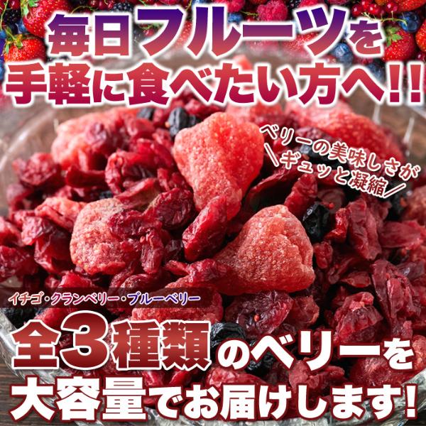 ミックスベリー3種 500g×4個セット ドライフルーツ ドライフルーツセット 乾燥果実 乾燥 ドライ フルーツ ミックス ヨーグルト おやつ