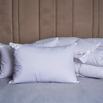 【寬庭】羽絨枕心 | VENEZIA 爵品 (一對)