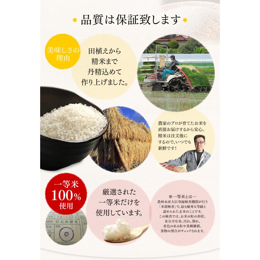 ひとめぼれ 5kg 米 5kg お米 送料無料 米5kg ヒトメボレ 一等米 安い 宮城県産 白米 米 ご飯 うるち米 精白米 ご飯 令和5年産