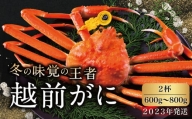 越前がに（オス）「ずわいがに」中サイズ（600g～800g） 2杯