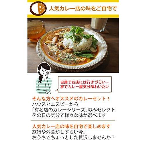 人気カレー 25点セット レトルトカレー詰め合わせ 選ばれし人気店 噂の名店 神田カレーグランプリ [ホームショッピングオリジナル味海苔付]