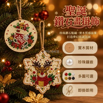 台灣出貨✨ 聖誕樹掛飾 亞克力鑽石畫 珍珠點鑽工藝 6件組圓形雪花款 繃好內框麻繩掛孔 聖誕老人雪人馴鹿圖案