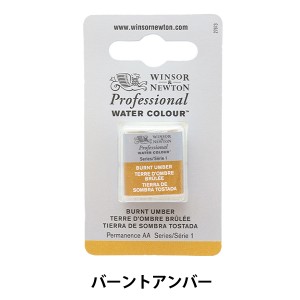 絵具 『プロフェッショナル ウォーターカラー ハーフパン 076 バーントアンバー 3102076』 WinsorNewton