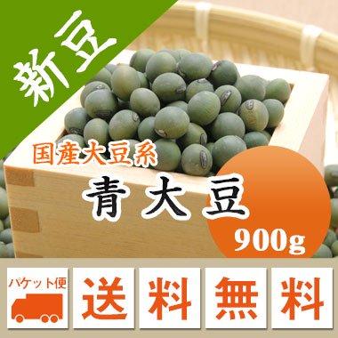 大豆 青大豆 山形県産 ひたし豆 令和５年産 メール便 送料無料 900g  ※日時指定不可・代引不可・同梱不可商品