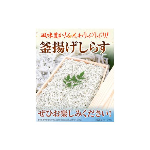 ふるさと納税 和歌山県 紀の川市 釜揚げしらす900g（木箱) 大五水産 《30日以内に順次出荷(土日祝除く)》 和歌山県 紀の川市 しらす 釜揚げしらす