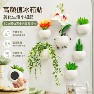 高顏值冰箱貼 美化家庭3D立體仿真多肉盆栽植物 冰箱貼 磁貼綠植磁鐵貼墻面裝飾貼留言貼 多肉植物 植物盆栽 可愛磁鐵