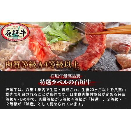 ふるさと納税 AB-7 石垣牛すきしゃぶ800g＋焼肉800g特盛セット（いしなぎ屋） 沖縄県石垣市