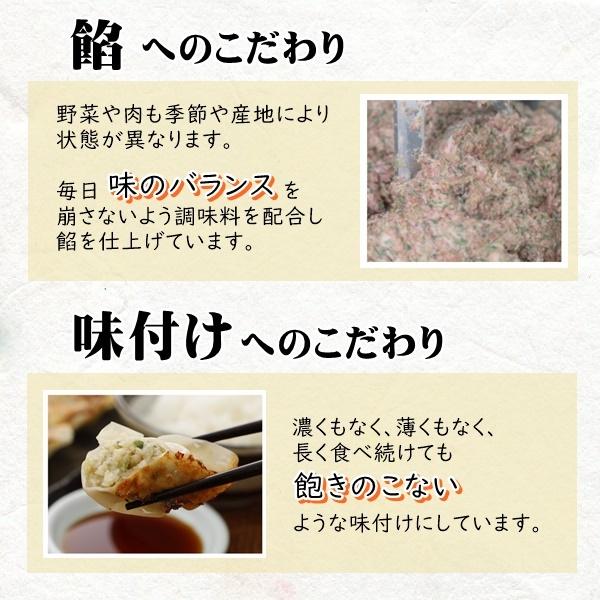 ≪冷凍≫青しそ餃子 40個 餃子 しそ ぎょうざ 冷凍餃子 水餃子 餃子鍋 金星餃子 お歳暮 お取り寄せ ギフト 通販 グンマー 群馬 お取り寄せグルメ 金星食品