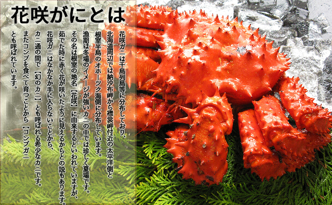 花咲ガニ（鉄砲汁用）2kg